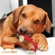 thumbnail image 2 of Juguete de Perro Nylabone Naranja y Blanco sabor Tocino, 2 of 11
