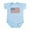 Sky Blue, variant on CafePress - Vintage American Flag Infant Bodysuit - Baby Light Bodysuit, Size Newborn - 24 Months