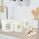 thumbnail image 5 of Contenedor para guardar frutas y verduras Onion Kitchen Food Crisper, color blanco Multi, 5 of 7