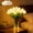 White, variant on 15 PCS Radiant Romantic Tulip Light with Vase, Twinkling Tulips Tree, LED Artificial Flowers Ambient Night Lamp, Gentle Lighting, for Bedroom Bedside Decor and Gift (White)
