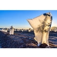 thumbnail image 4 of RXIRUCGD Warm Cover Tree Shrub Plant Protecting Bag Frost Protection Yard Garden Winter, 4 of 6
