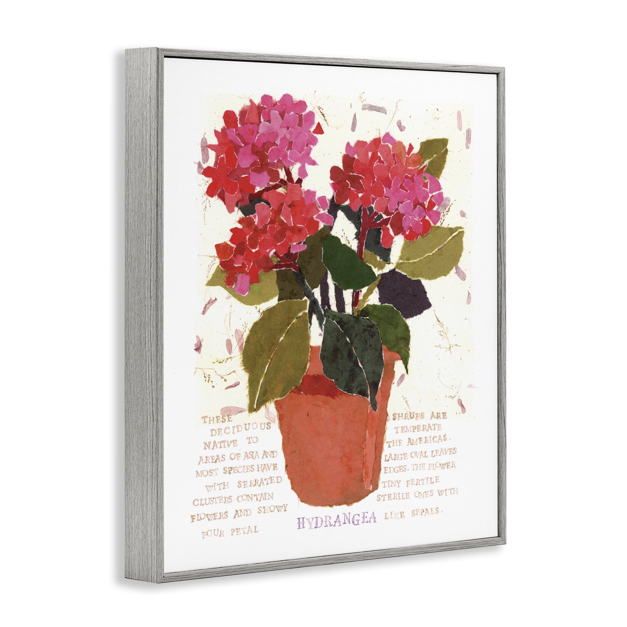 Stupell Industries Bold Red Hydrangea Botanical & Floral Painting Gray Framed Art Print Wall Art, 16 x 20