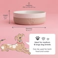 thumbnail image 5 of Mason Cash: Heart Paw Pet Bowl - 7", 32oz - Cream & Tan - Durable Ceramic Food-Water Dish, Microwave-Dishwasher Safe, Dog & Cat Meal Feeding-Hydration, 5 of 10