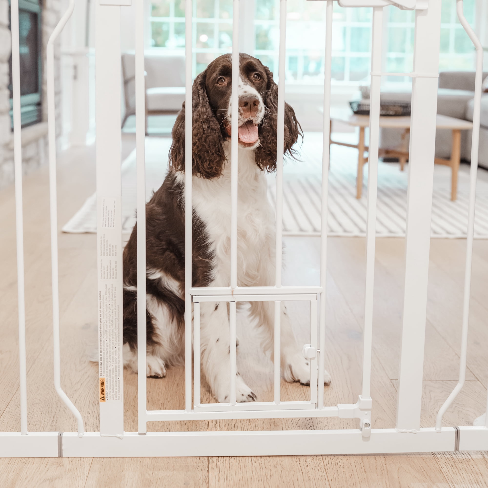 Carlson White Metal Walk-Thru Pet Gate with Lift Handle and Pet Door, 30" H x 29"-51" W