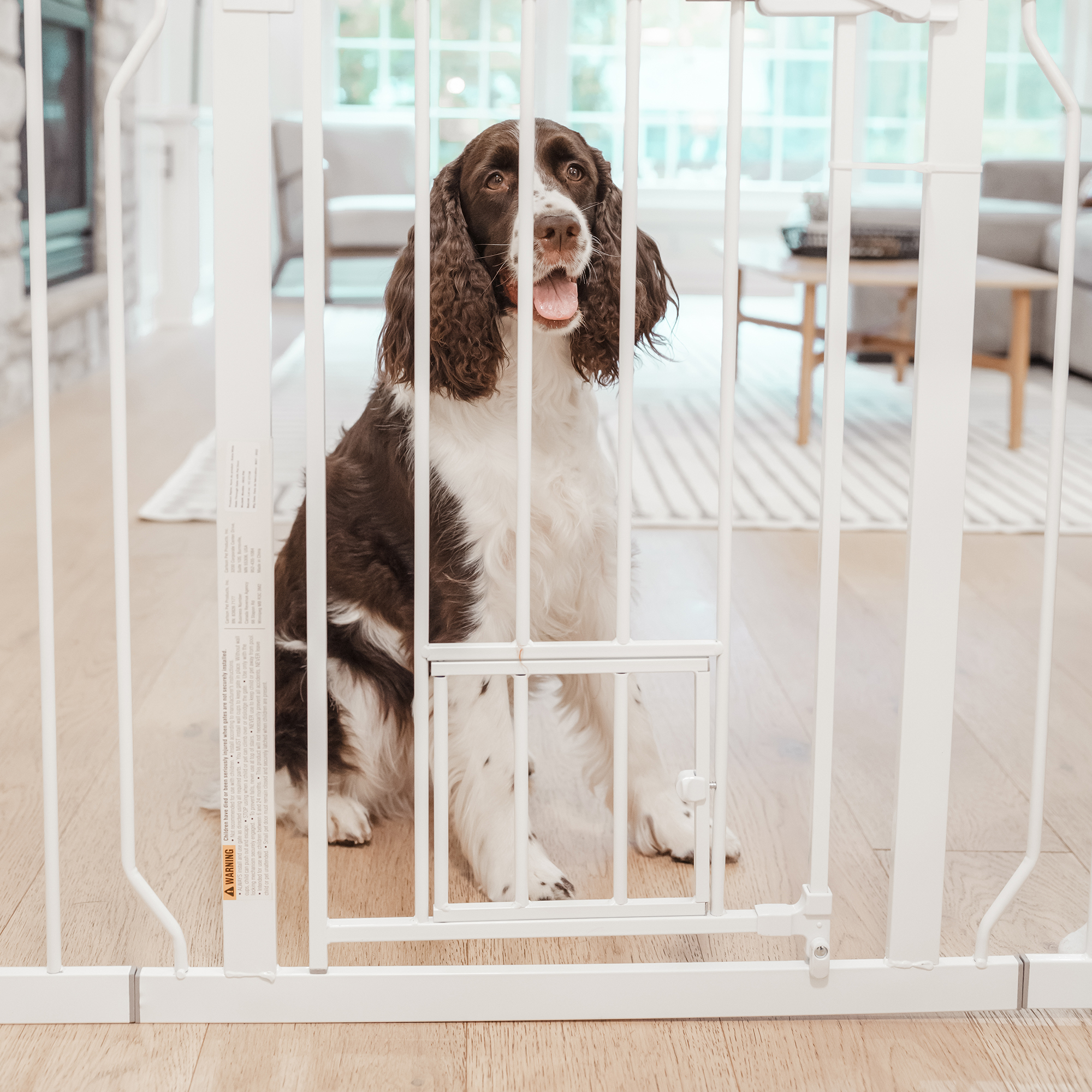 Carlson White Metal Walk-Thru Pet Gate photo 7