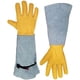 thumbnail image 1 of Guantes de jardinería para mujeres/hombres, guantes largos de jardín a prueba de espinas para poda de rosas, 1 of 1