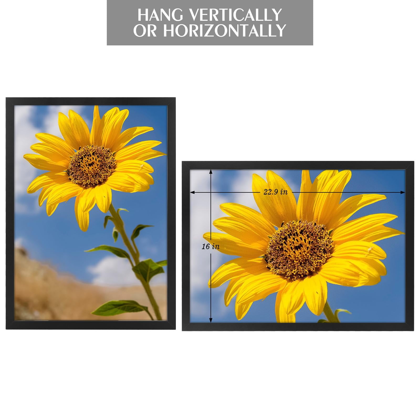 Golden State Art 16.5 in x 23.4 in Black Picture Frames 2 Set