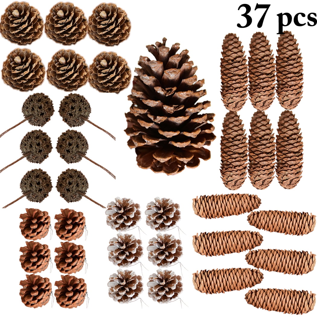 Pine Cones Mini Pinecones In Bulk For Crafts 8oz Pack Of 110 natural