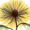 thumbnail image 3 of Koetsier, Albert 12x12 Black Modern Framed Museum Art Print Titled - Dream in Yellow, 3 of 5