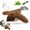 A, variant on 2026 New Chirping Flying Bird Cat Toy, Upgrade Interactive Flying Bird Cats Toy, Flying Sparrow Shaking Bird, Chirping Bird Cat Toy Flapping Wings, Flying Interactive Simulation Electric Cat Toy