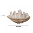 thumbnail image 2 of Benjara Medium Clam Shell Accent, White, 2 of 6