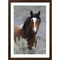 thumbnail image 2 of Art.com Wild Horses, Steens Mountains Photographic Print by Ken Archer, Brown Frame Wall Art, 32" x 44", 2 of 4