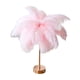 thumbnail image 2 of Lámpara de mesa de plumas con control remoto, luz USB, apliques de tocador para porche, decoración, iluminación Rosa, 2 of 9