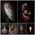 thumbnail image 2 of Impresión de lienzo de serpiente y Granada blanca, águila, búho, Cuervo, Cabra, arte de pared Vintage, decoración de póster de Arte de criatura mágica oscura gótica, 2 of 3
