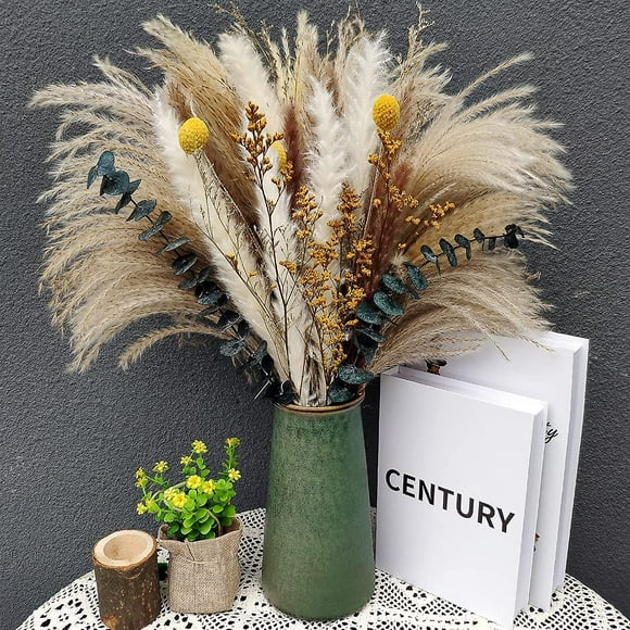 Dried Flowers, Natural Pampas Grass-7 Different Types of Dried Eucalyptus Decoration