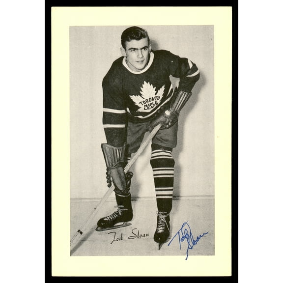 Tod Sloan Autographed 1944-63 Beehive Group 2 4.5x6.5 Photo Toronto Maple Leafs SKU #176734
