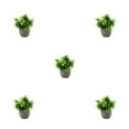 thumbnail image 1 of Decodeary Green Eco-friendly Artificial Money Tree In Pot Long-lasting Durability Realistic Appearance new blue babysbreath 5Set, 1 of 6