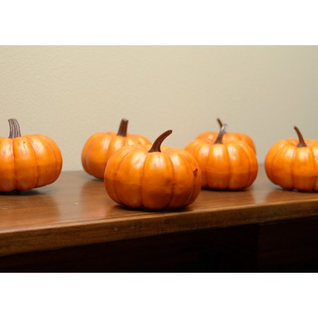 Pack of 6 Thanksgiving Fall Harvest Bright Orange ...