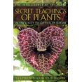thumbnail image 2 of Secret Teachings Of Plants, Stephen Harrod Buhner Paperback, 2 of 2