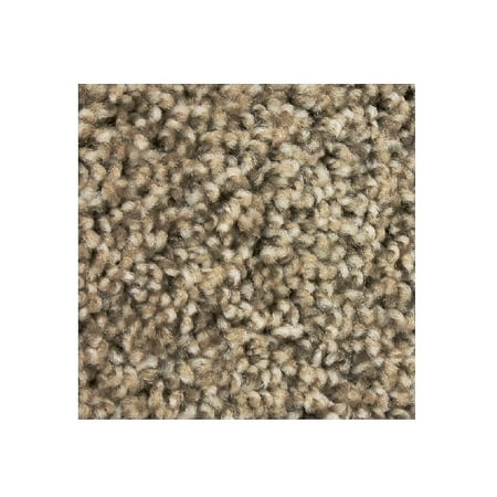 Best Option Claystone 25 oz Plush Textured Indoor Area Rug Carpet Many