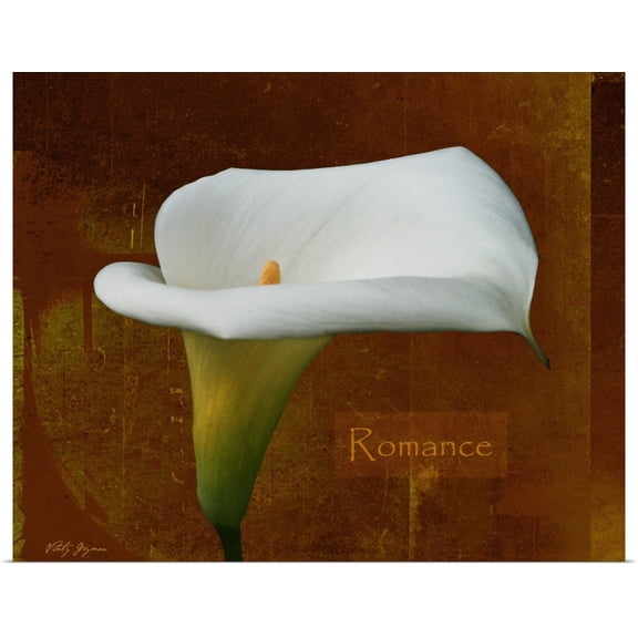 Great BIG Canvas | Rolled Vitaly Geyman Poster Print entitled Calla Lily Romance