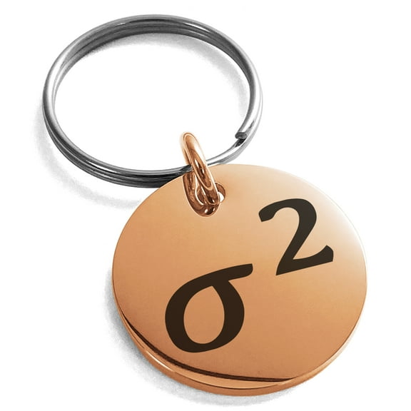 Stainless Steel Variance Mathematical Engraved Small Medallion Circle Charm Keychain Keyring