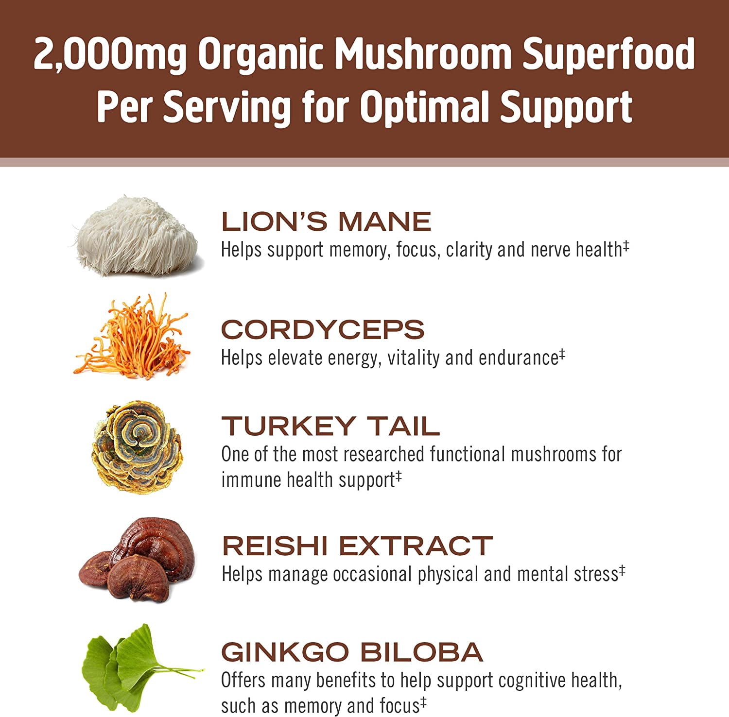 Om - Coffee Mushroom Blend - Case Of 10-.20 Oz