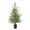 Green, variant on ZLBDYG Mini Christmas Tree Spruce Desktop Ornaments - 60/90cm Evergreen Themed Decorative Displays for Office and Home, Festive Border Designs for Seasonal Shelves and Mantel Arrangements