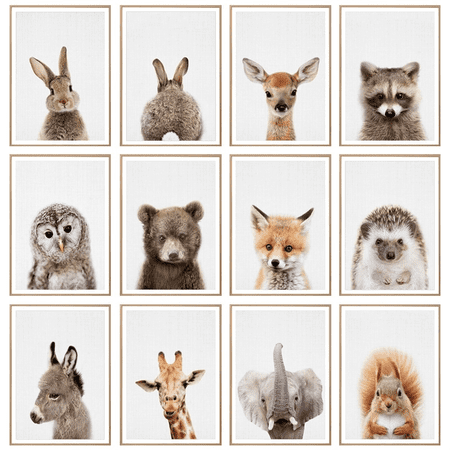 Unframed Print Canvas Wall Art Woodland Animal Bunny Giraffe Bear Canvas Painting Home Picture Hanging Home Living Room Decor Multi Size Walmart Canada