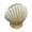 1, variant on Yammee Beautiful Handcrafted Shell Planter Ideal For Succulents Arrangements Indoor Use