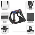 thumbnail image 6 of Fotbe Vintage Audio Cassettes Pattern Dog Harness, No-Pull Pet Harness with 2 Leash Clips, Adjustable Soft Padded Dog Vest with Easy Control Handle for Large Dogs-Large, 6 of 6