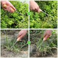 thumbnail image 3 of Garden Hand Weeder Tool Stainless Steel Material with Wooden Handle Suitable for Garden Outdoor Use for Plant Transplanting 1 Set, 3 of 4