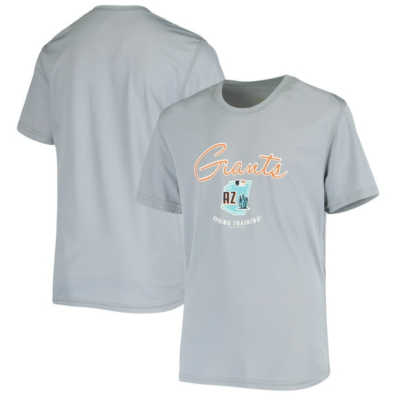 Youth Gray San Francisco Giants Spring Training Script Logo T-Shirt