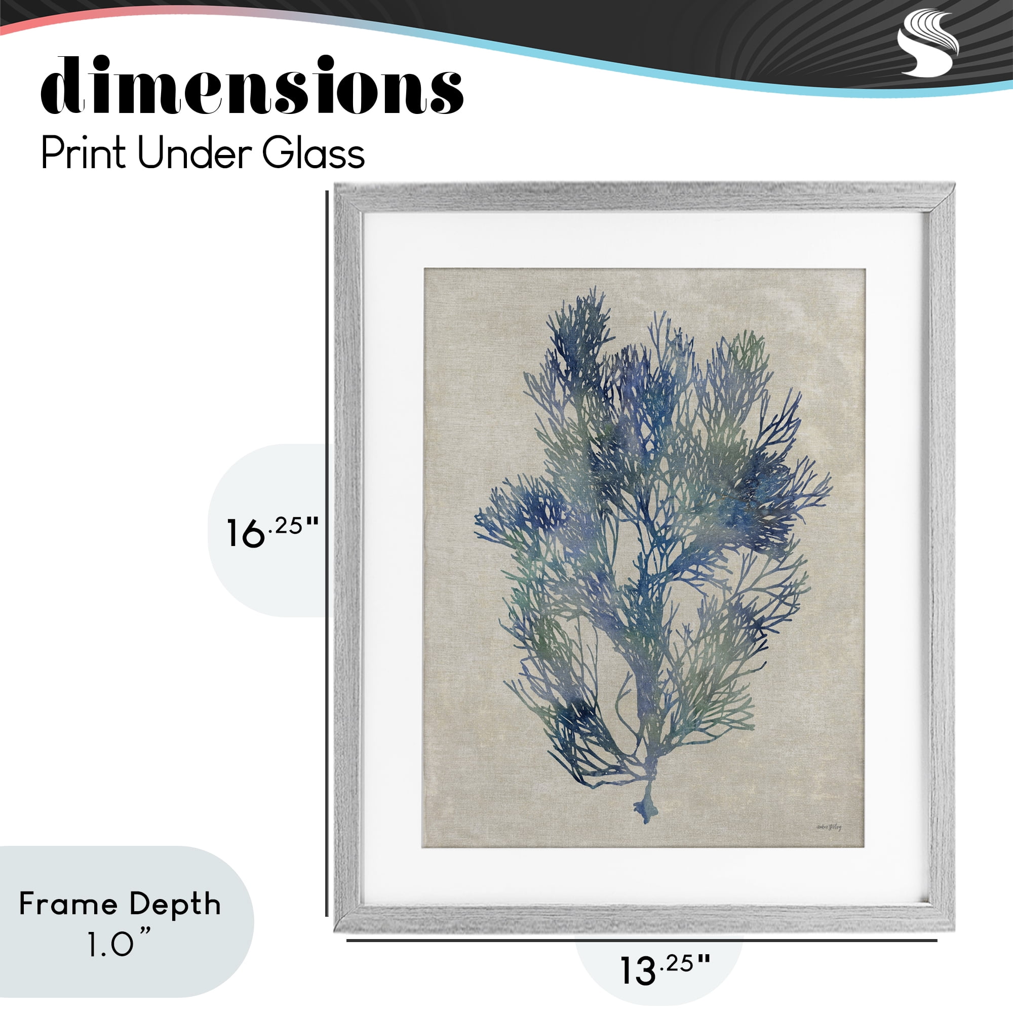 Stupell Industries Misty Blue Coral Study Gray Framed Print Under Glass, design by Amber Sterling