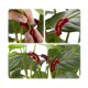 thumbnail image 2 of Alicates para entrenamiento de crecimiento de plantas, alicates para doblar plantas, dobladora de ramas de plantas para entrenamiento de baja presión de plantas, 10 Uds. TUNC Sencillez, 2 of 5