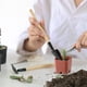 thumbnail image 4 of 2 juegos de mini herramientas de jardinería que incluyen una pala de mano, una pala para trasplantar y un rastrillo de mano con mango de madera. Mini herramienta para jardineras., 4 of 6