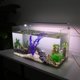 thumbnail image 2 of 1 Pieza Acuario Plástico Plantas  Artificial Acuática Planta para Peces Plantas Decoración, Púrpura, 11.81, 2 of 7