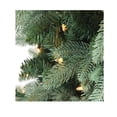 thumbnail image 3 of Northlight Real Touch™️Pre-Lit Washington Frasier Fir Artificial Christmas Tree - 4.5' - Clear, 3 of 6
