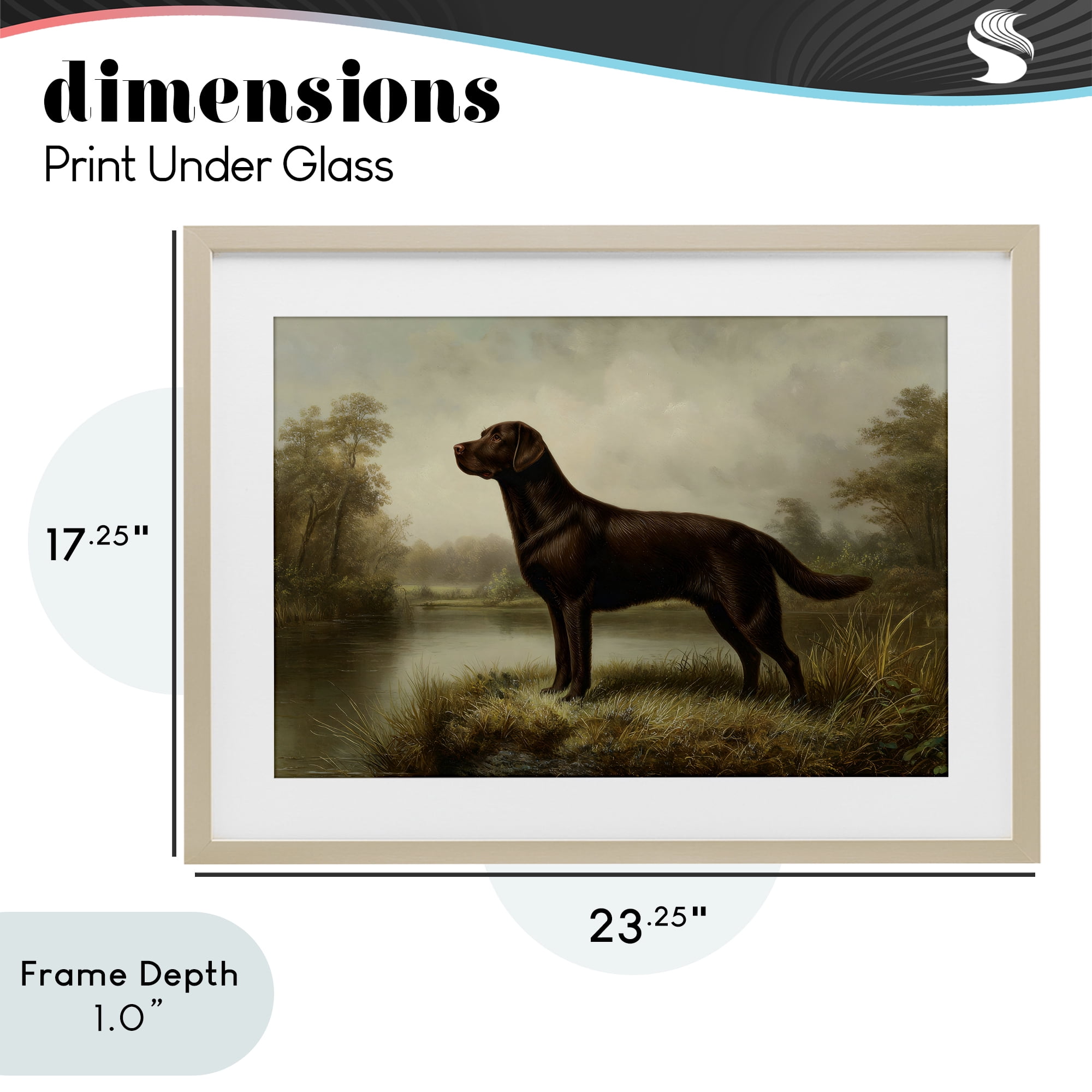 Stupell Industries On Alert Chocolate Lab Birch Framed Print Under Glass, design by Petal Prints Design