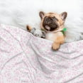 thumbnail image 3 of Disketp Cat Paw Dog Blanket/Bed Cover for Dogs and Cats,Puppy Essentials-Large, 3 of 8