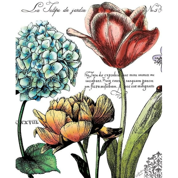 Posterazzi Collection Botanical Postcard Color Iv Poster Print par Marie Elaine Cusson (11 x 14)