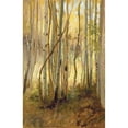 thumbnail image 2 of Hamilton Hamilton 17x24 Gold Ornate Framed and Double Matted Museum Art Print Titled - Sunlit Birch Forest, 2 of 4