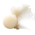 thumbnail image 4 of Organic Wear® Traitement des lèvres - Non-Tint, 4 of 6