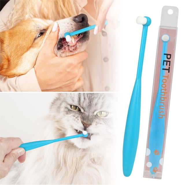 Toothbrush For And Cats Soft Care For Gentle Teeth Cleaning And Oral Hygiene