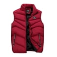 thumbnail image 4 of Chaleco de hombre otoño e invierno chaqueta acolchada de algodón abrigada versión para hombre de chaleco de ocio grueso de talla grande M a 8XL, 4 of 5