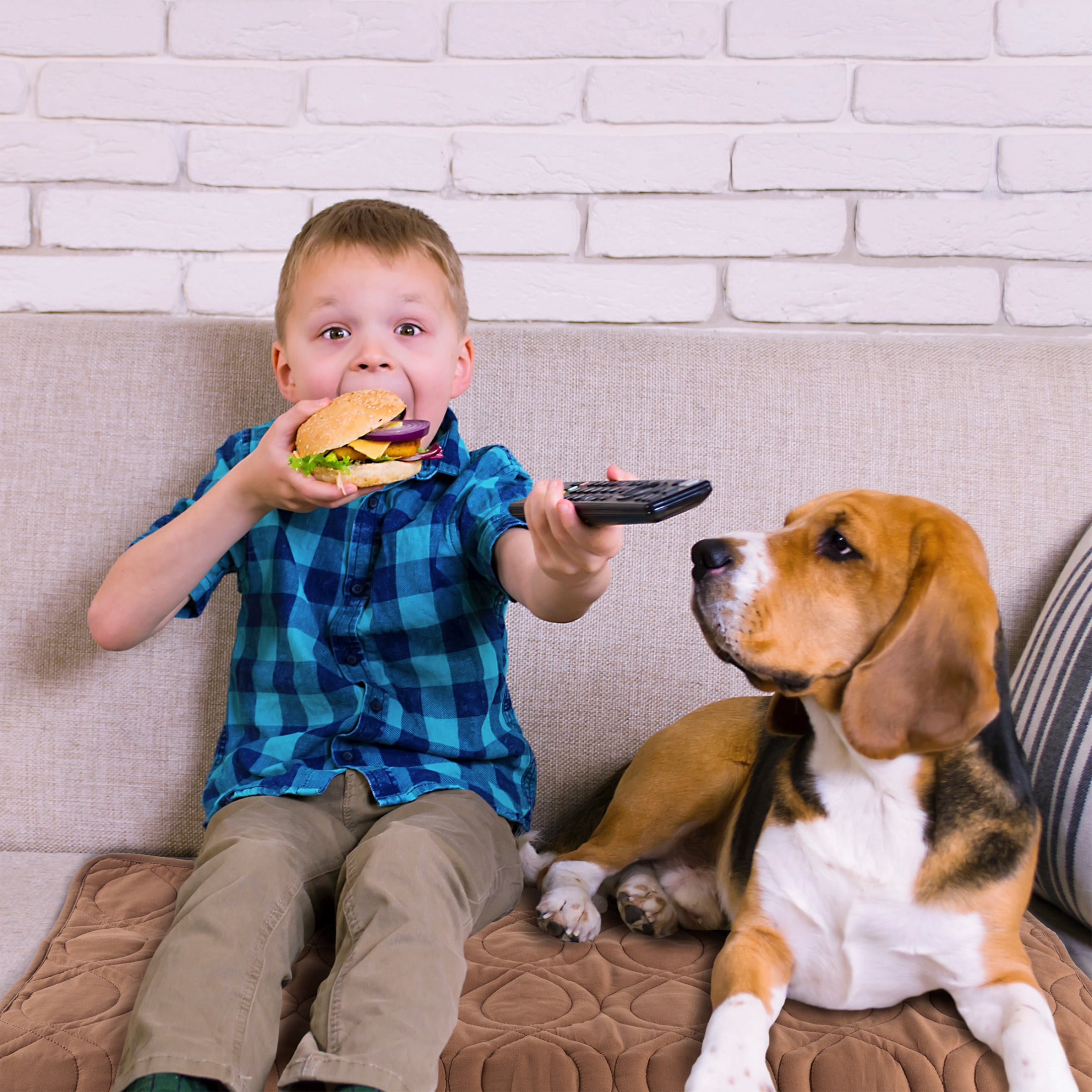 PETMAKER 36x28 Waterproof Pet Couch Cover for Furniture, Floors, and Cars