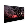 thumbnail image 3 of Trademark Fine Art "Pink Sunset" Canvas Art by Jason Shaffer, 3 of 4