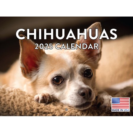 Chihuahua Calendar 2025 Chihuahua Gifts Monthly Wall Calender 12 Month | Made In The USA