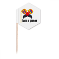 thumbnail image 1 of Je Suis un Transgenre Drapeaux Cure-Dents Arc-en-Ciel LGBT pour Fête, 1 of 3