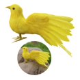 thumbnail image 2 of SDFGTstore Realistic Feathered Bird Model Statue for Indoor and Outdoor Yard Decoration, 2 of 14
